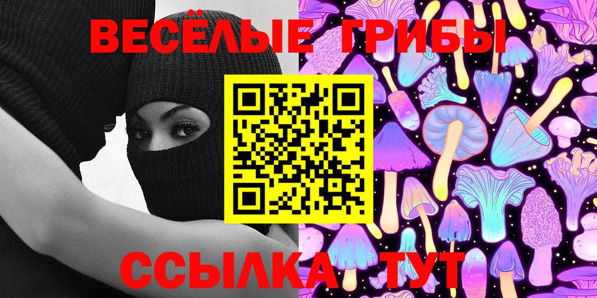 Псилоцибиновые грибы мицелий Протвино