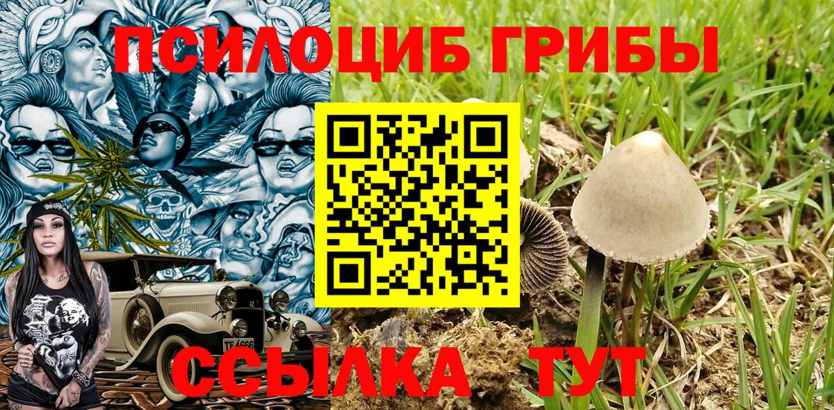 Протвино  Галлюциногенные грибы Psilocybe  Вход с VPN 